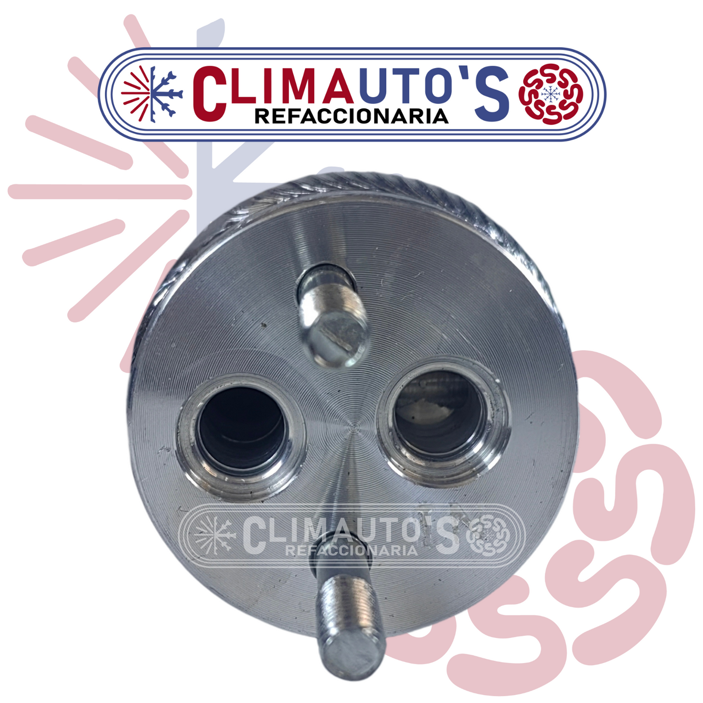 Deshidratador Ford Fiesta, Focus